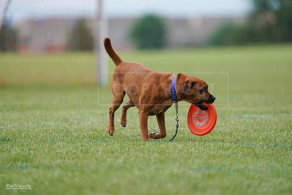 RielVisuals_20240527_142020_SJR02436