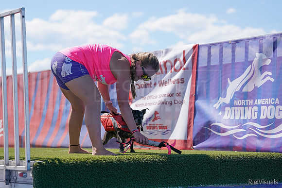 SJR03481