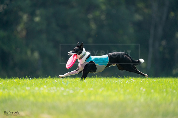 RielVisuals_20240727_120353_SJR04636