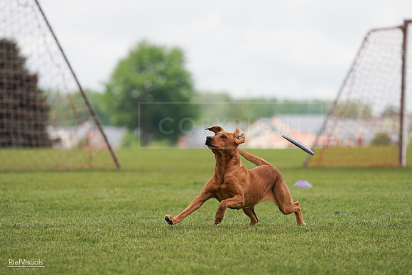 RielVisuals_20240527_141052_SJR01738