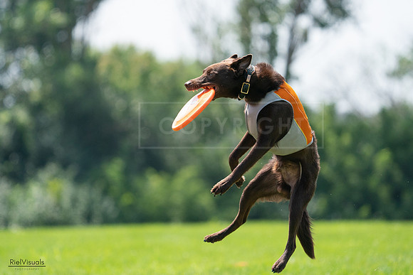 RielVisuals_20240728_130834_SJR05165