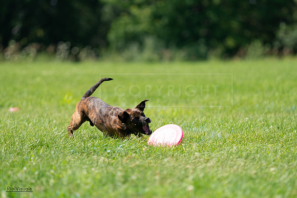 RielVisuals_20240728_124044_SJR04505
