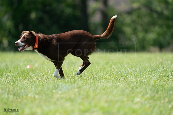 RielVisuals_20240728_144912_SJR09236