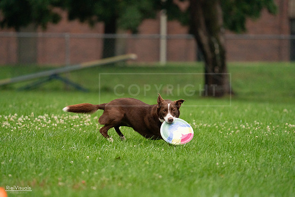 RielVisuals_20240722_191904_SJR00599