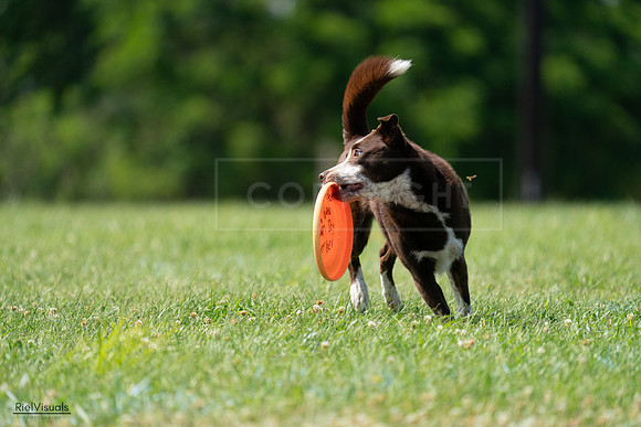 RielVisuals_20240728_152030_SJR00627