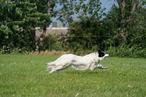 RielVisuals_20240728_102904_SJR08238