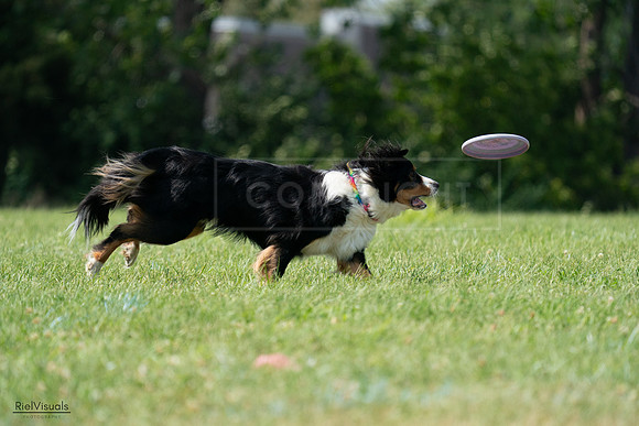 RielVisuals_20240728_144505_SJR09022