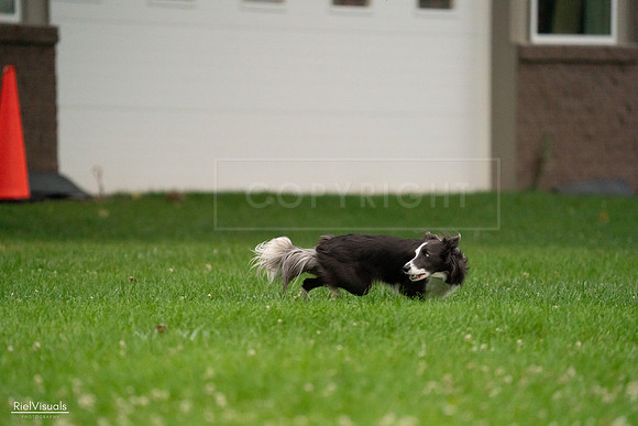 RielVisuals_20240722_192644_SJR00945