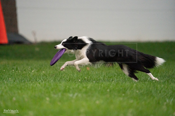 RielVisuals_20240722_194559_SJR02124