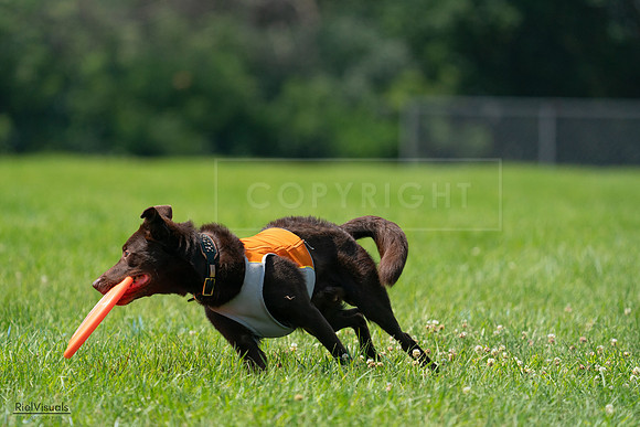 RielVisuals_20240728_114122_SJR01611