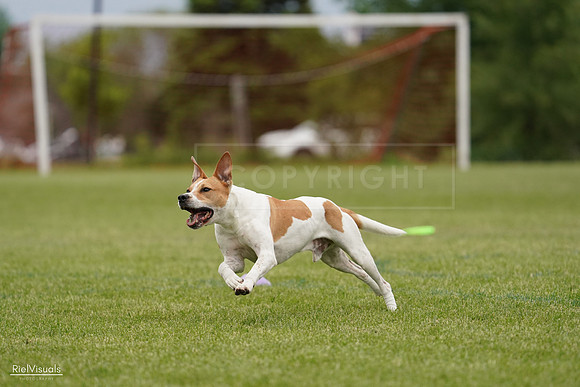 RielVisuals_20240526_134049_SJR08664