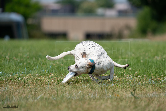 RielVisuals_20240727_134619_SJR08360