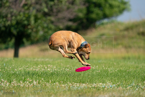 RielVisuals_20240727_093110_SJR06632