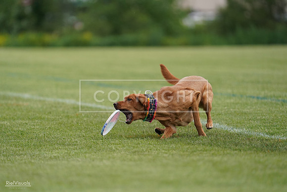 RielVisuals_20240525_160839_SJR03569