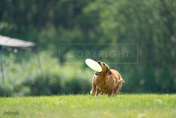 RielVisuals_20240727_122424_SJR05482