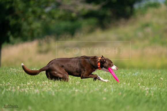 RielVisuals_20240727_100642_SJR08552