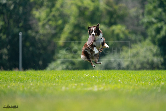 RielVisuals_20240727_130329_SJR06671