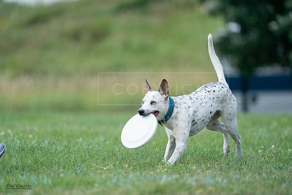 RielVisuals_20240727_145132_SJR01409