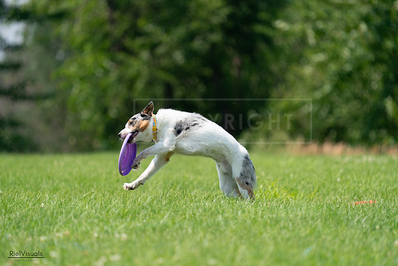RielVisuals_20240727_140105_SJR09313