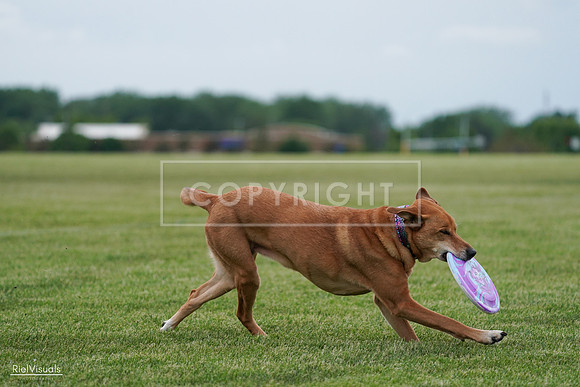 RielVisuals_20240525_161757_SJR03991