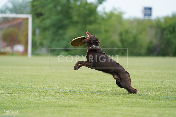 RielVisuals_20240525_162130_SJR04251