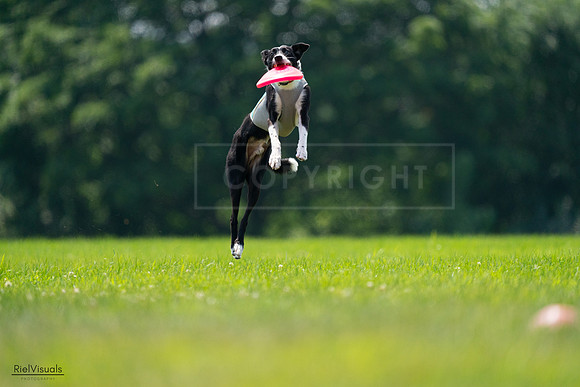 RielVisuals_20240727_130808_SJR06975