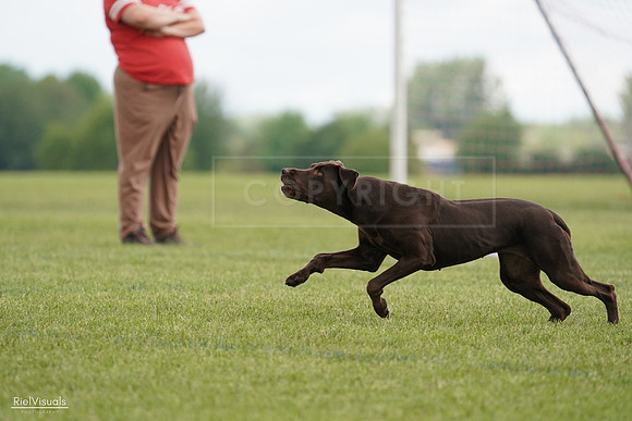 RielVisuals_20240527_140523_SJR01406