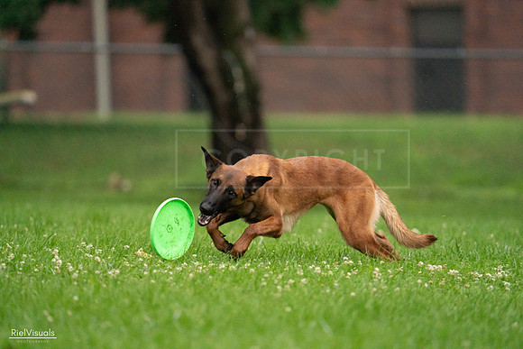 RielVisuals_20240722_192509_SJR00867