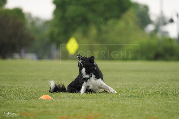 RielVisuals_20240526_095517_SJR01371