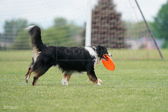 RielVisuals_20240527_142407_SJR02615