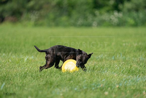 RielVisuals_20240728_103802_SJR08690