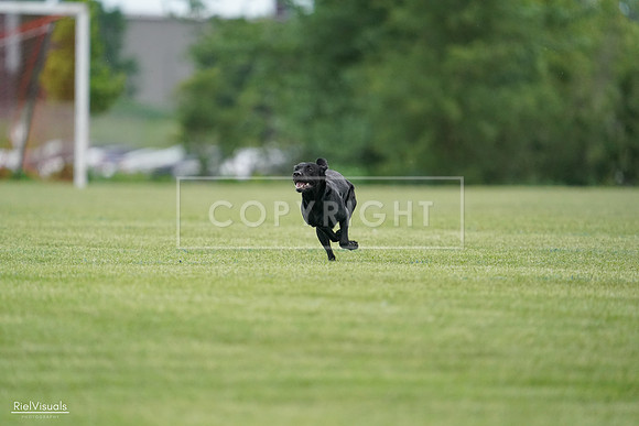 RielVisuals_20240525_163941_SJR05064