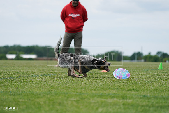 RielVisuals_20240525_125157_SJR01418