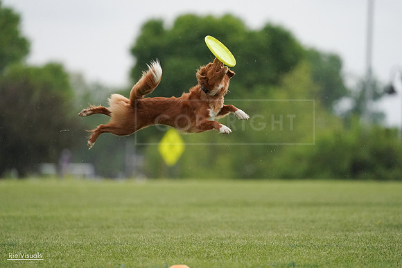 RielVisuals_20240526_093131_SJR00287