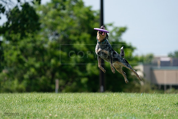 RielVisuals_20240728_145227_SJR09443
