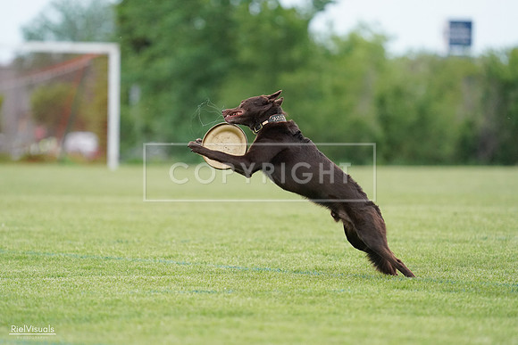 RielVisuals_20240525_162130_SJR04252