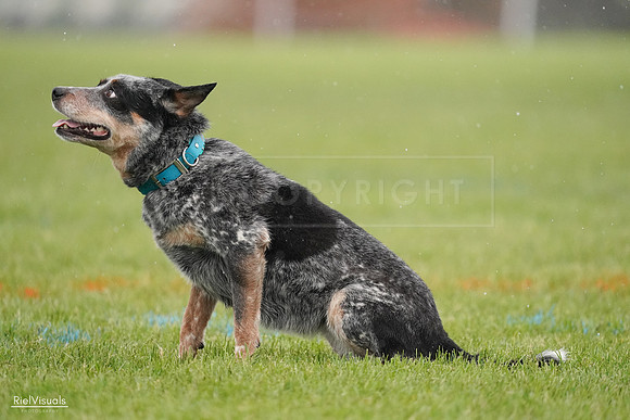 RielVisuals_20240527_105059_SJR01862