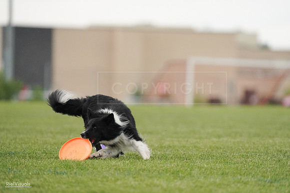 RielVisuals_20240526_095518_SJR01397