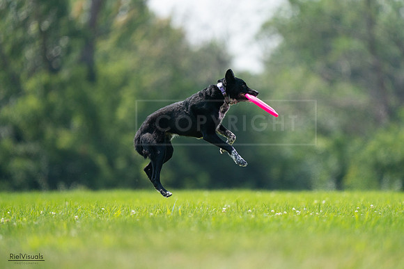 RielVisuals_20240727_125913_SJR06464