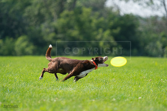 RielVisuals_20240727_125114_SJR06230