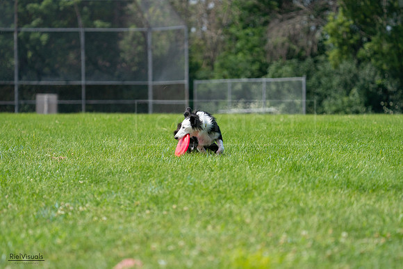 RielVisuals_20240728_113918_SJR01543