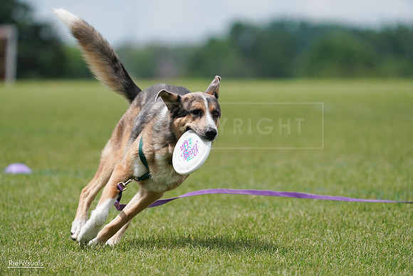 RielVisuals_20240527_141625_SJR02141