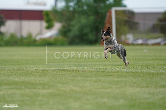 RielVisuals_20240525_164212_SJR05227