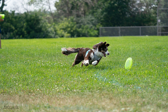 RielVisuals_20240728_132523_SJR06114