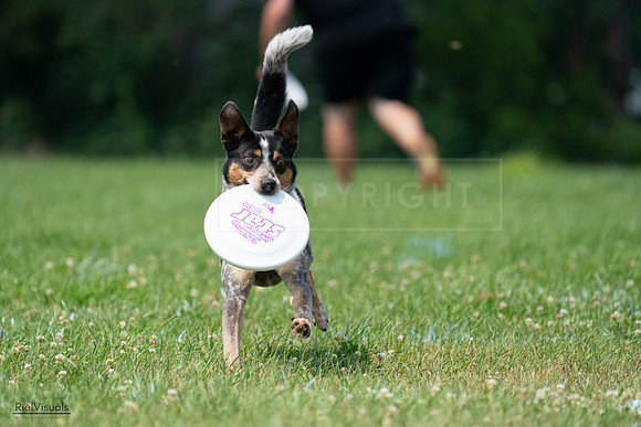 RielVisuals_20240727_133941_SJR07968