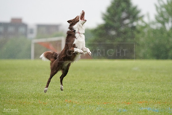 RielVisuals_20240527_104357_SJR01389