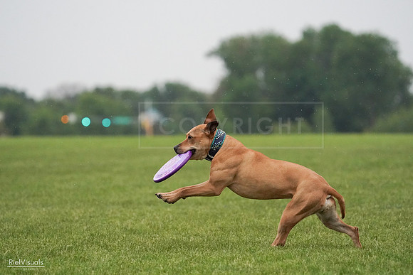 RielVisuals_20240527_094227_SJR08530