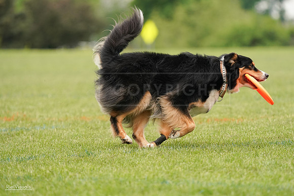 RielVisuals_20240527_133230_SJR00188