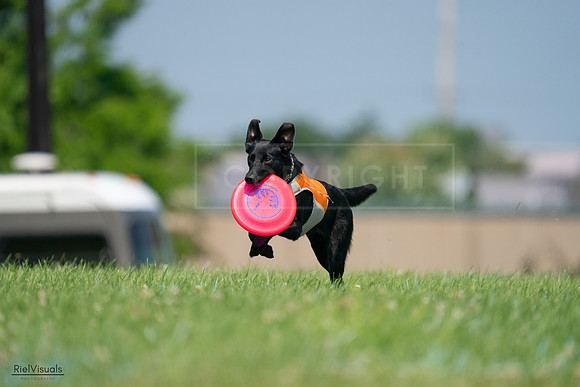 RielVisuals_20240727_115423_SJR04232