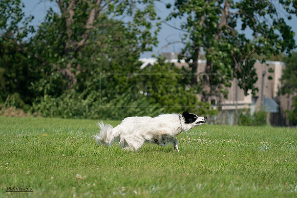 RielVisuals_20240728_102904_SJR08242